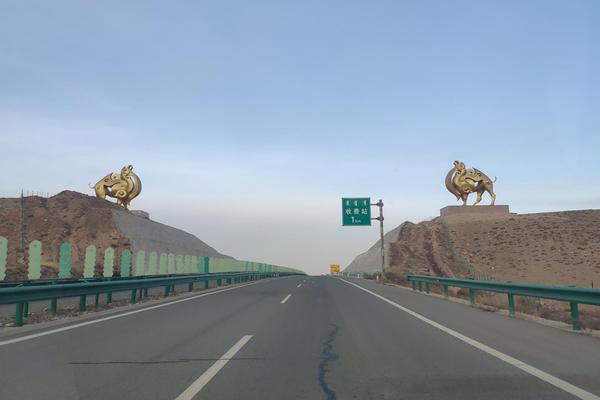 董藩：我不主張在收縮型城市搞振興