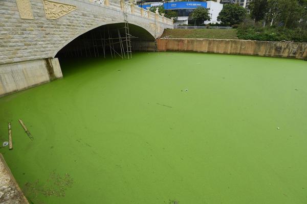 地下排污管發生爆炸 路面崩飛殃及過路人