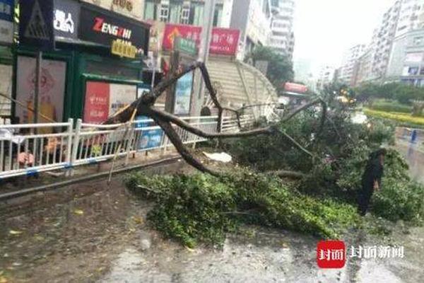 我國兒童青少年總體近視率53.6％，高中生近視率達81％