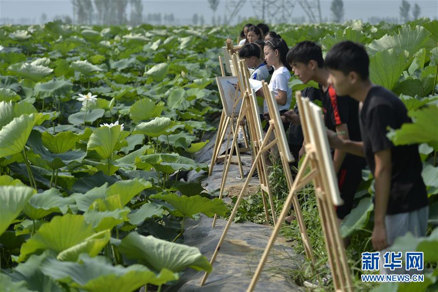 國家最新重大開放措施釋放哪些重要信號?專家回應