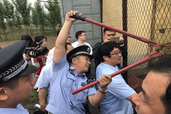 金毛直立行走爬樓梯引爭議 網友：主人太無知