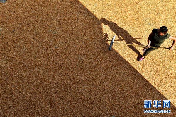 光明日報：中國網文何以成海外讀者新寵