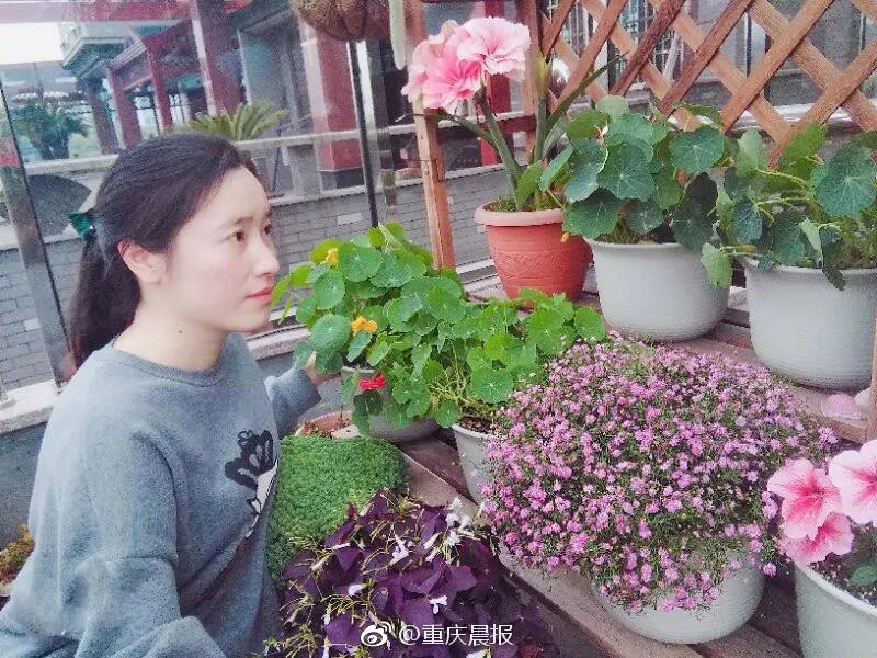 海潤債務危機中停產，華君集團被拖累成“老賴”