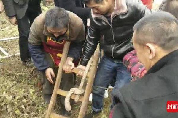 英警方要查強(qiáng)奸受害者手機(jī)被批:數(shù)字化的脫衣搜身