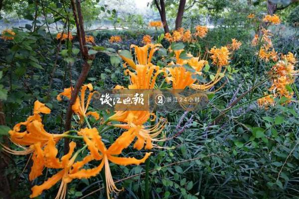 法海寺藏經(jīng)閣立體重現(xiàn)明代壁畫(huà)