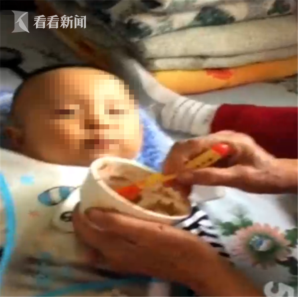 死去的寵物狗可以克隆"復(fù)活"嗎？
