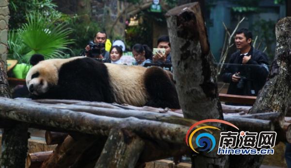 互聯網寒冬系列之齊家網：野蠻擴張后遺癥
