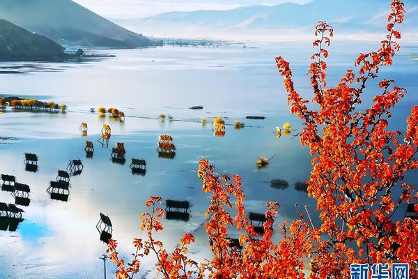 日媒：華為在手機(jī)芯片領(lǐng)域直追高通