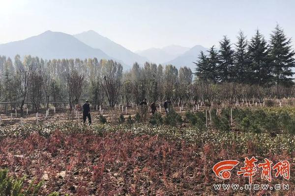 華泰人壽2018年凈利潤增7倍 保險業務收入增兩成