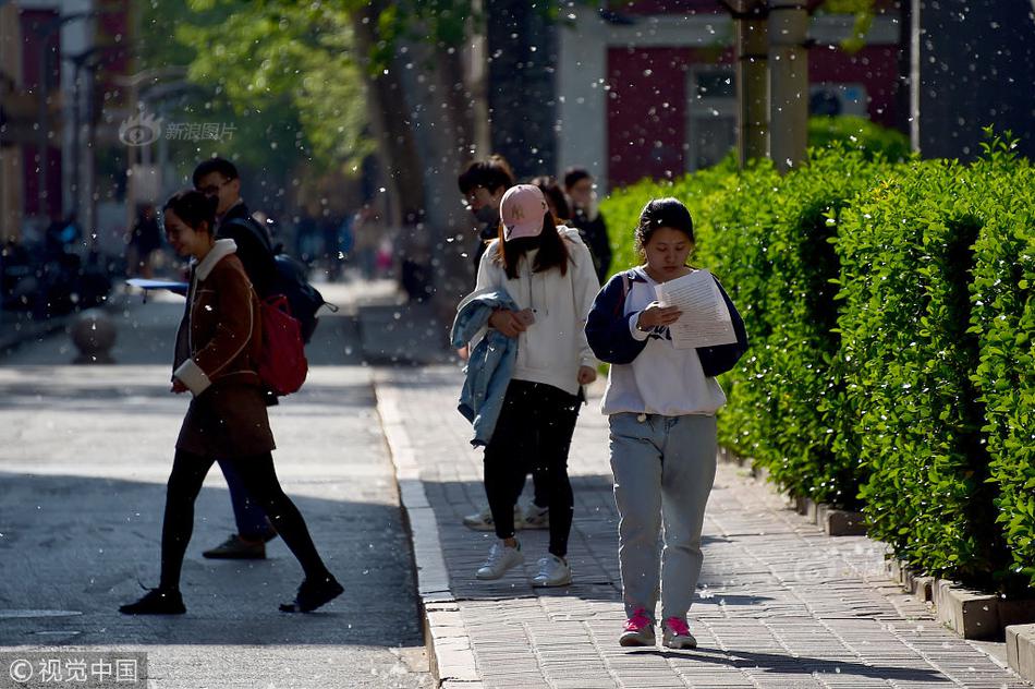 成都國企6億元入股錘子被調(diào)查？官方：消息嚴(yán)重不實(shí)