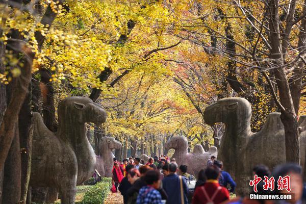 亞馬遜的人工智能監(jiān)工說，你不是世界首富貝佐斯的兄弟