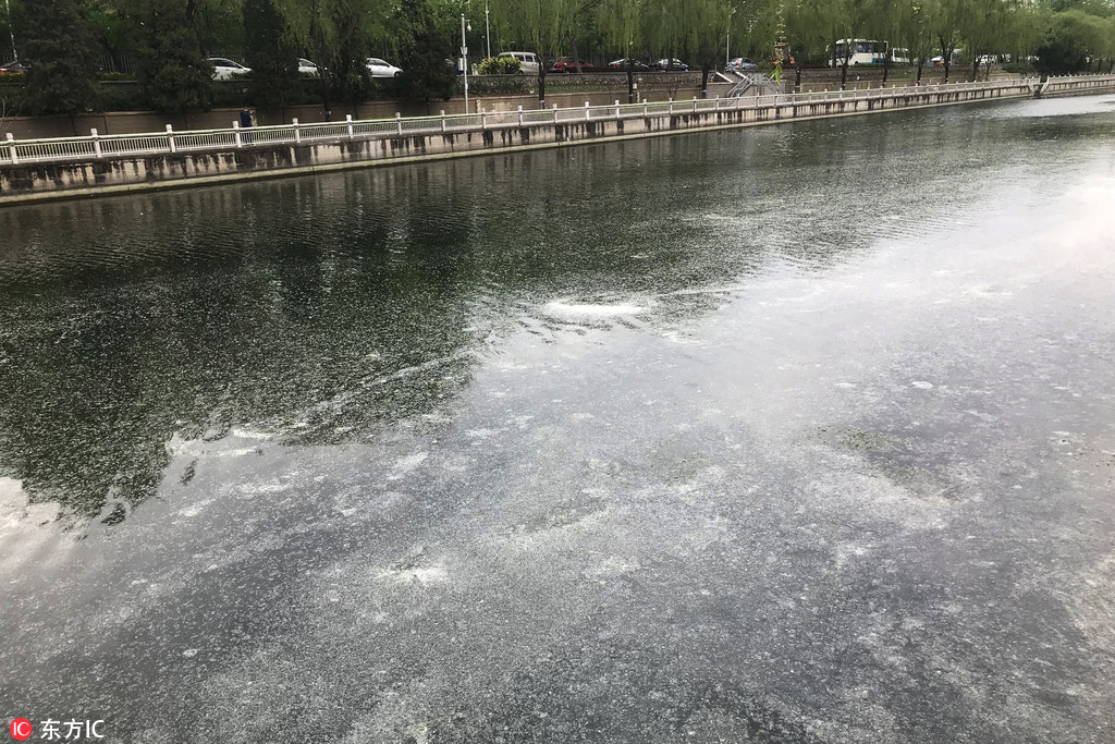 高僧圓瑛法師罕見舊照