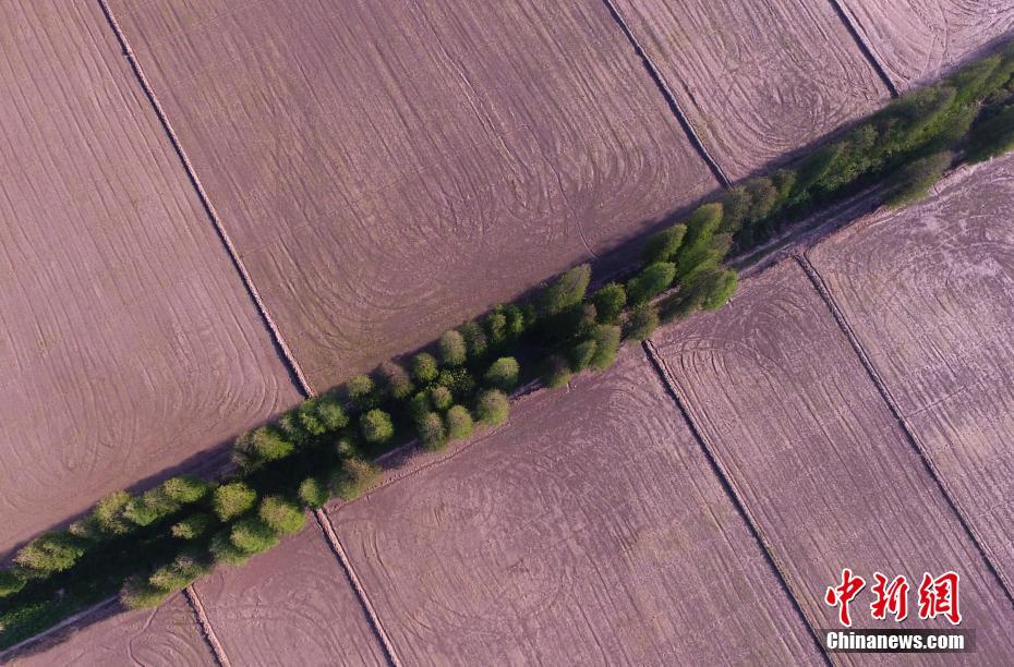 為何宋后華夏文明出現斷裂