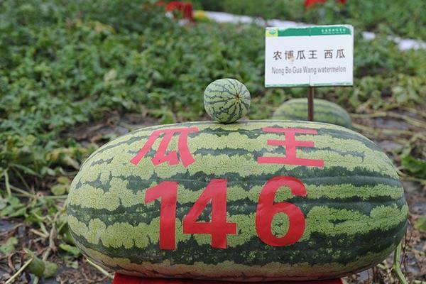 給你的生活來(lái)點(diǎn)顏色，限時(shí)9折！
