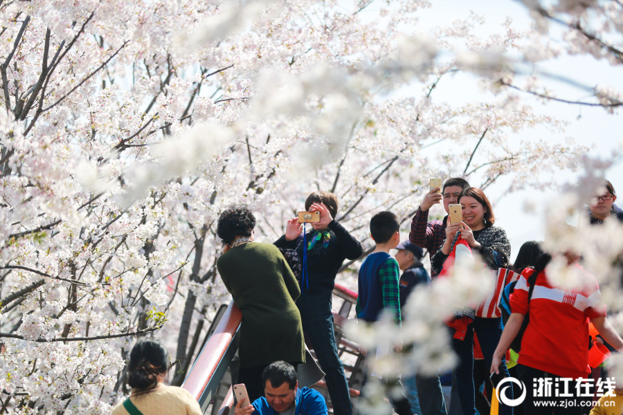 太拼了！新疆隊(duì)長(zhǎng)門牙錯(cuò)位 或面臨換牙仍選擇戰(zhàn)斗到底