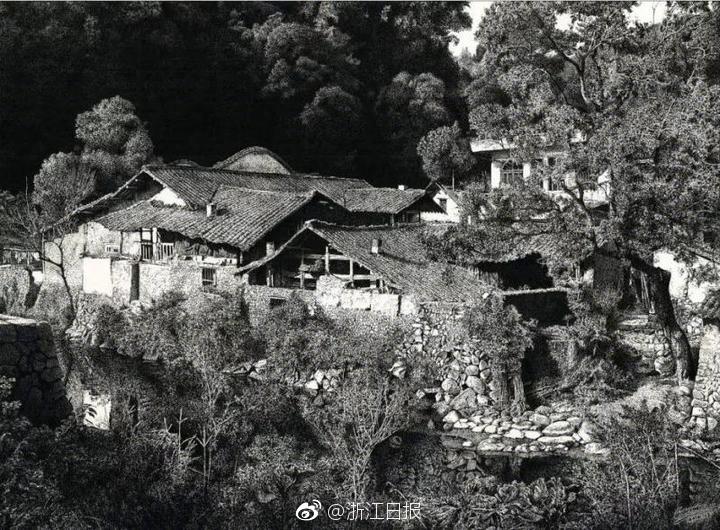 組圖：杉咲花發INS 曬與黑島結菜共游夏威夷寫真