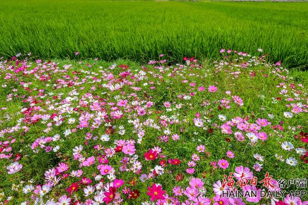 A股五月行情預(yù)判 機(jī)構(gòu)稱(chēng)謹(jǐn)慎看待結(jié)構(gòu)性調(diào)整