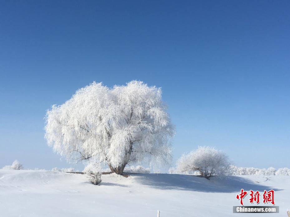 免費送:努比亞紅魔3電競手機