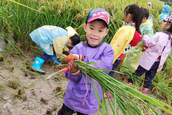 旗幟鮮明地支持馬斯克：激光雷達三年內將被取代！