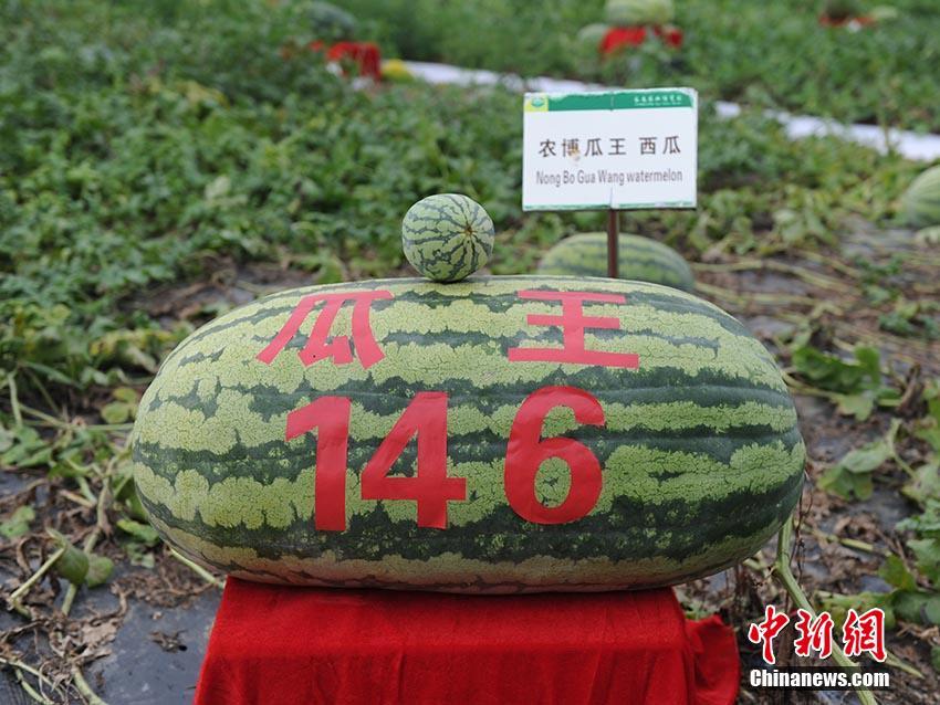 熱血傳奇18周年專區(qū)禮包