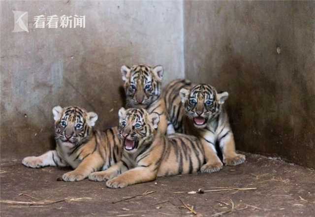 熱血傳奇18周年專區(qū)禮包