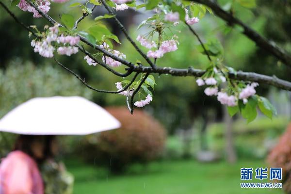 亞馬遜中國官網(wǎng)掛了？回應(yīng)：技術(shù)部門已著手處理
