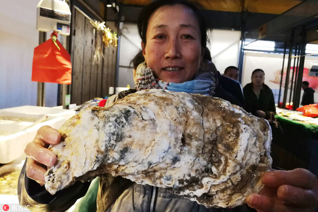 華銀（天鵝湖）國際生態城