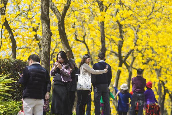 優秀應屆畢業生都去了什么行業？