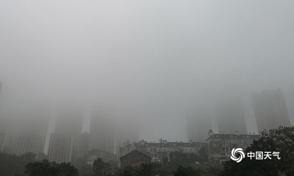 劉強東章澤天夫婦撤資“作業(yè)盒子”