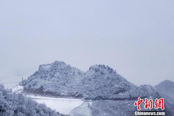 兔寶寶的2018年：試探并購”