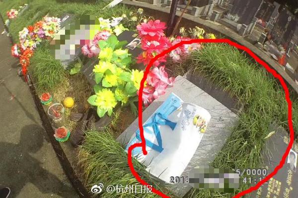 CBA公司發布球員保障險