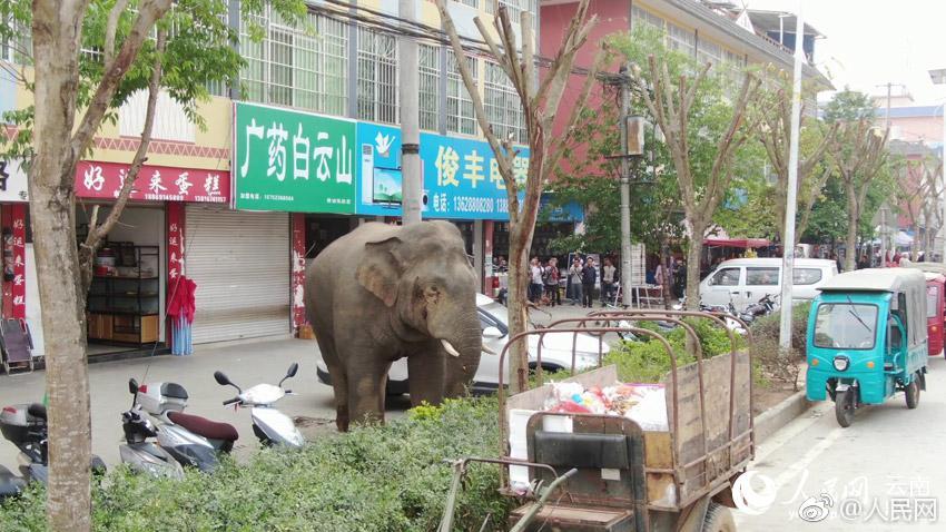 唐藝昕穿白衣戴白帽現(xiàn)身 笑容甜似蜜