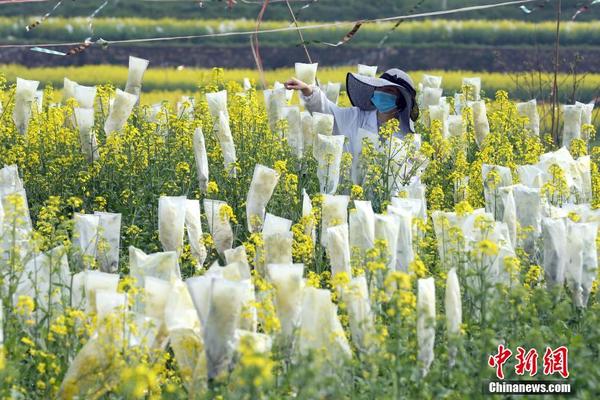 海淀四道口限競房定名「天恒·學院里」