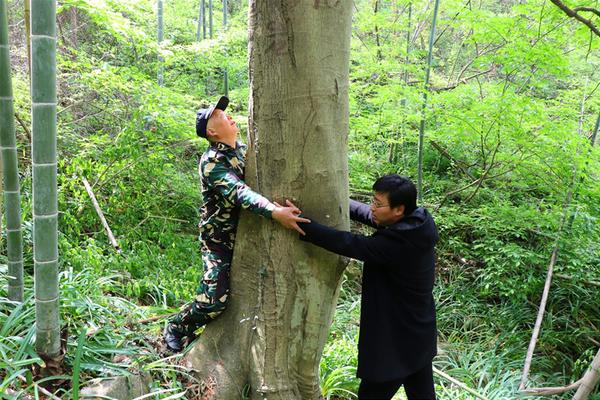運8反潛機與美軍還有明顯差距 C919平臺或是最佳選擇