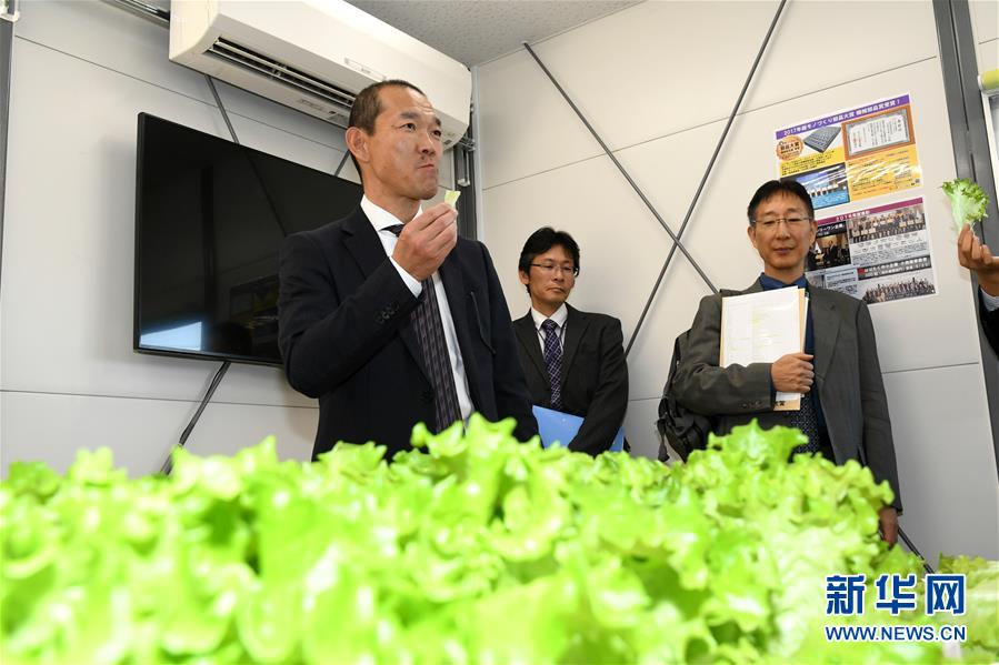 26歲男模走秀時突然跌倒猝死，身體健康的他死因令人生疑