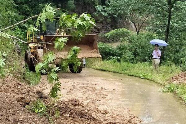 外媒：印度尼西亞總統佐科已決定遷都 搬離爪哇島