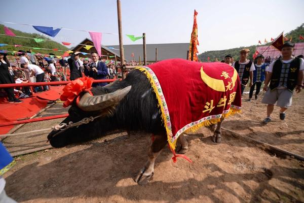 揭秘美名校招生舞弊案:花800萬進耶魯 這名學(xué)生這樣做的