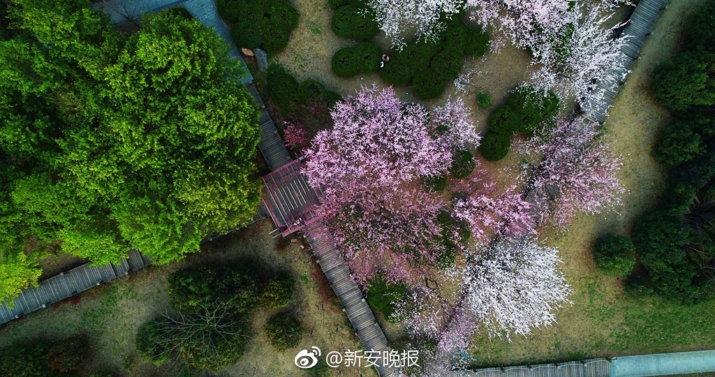巴薩西甲奪冠這7人也功不可沒 最不可或缺之人竟成隱患