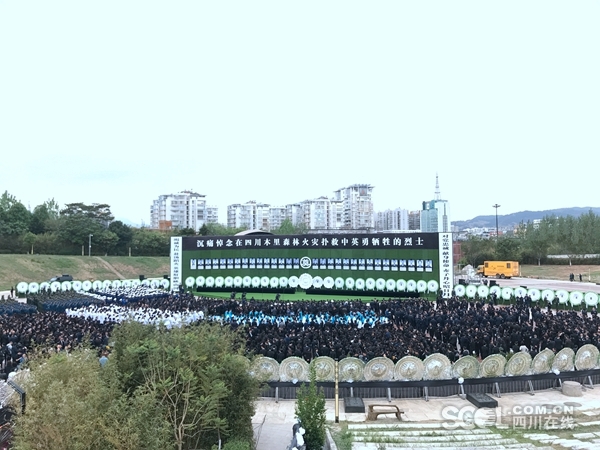 全新寶馬3系 競爭力提升明顯