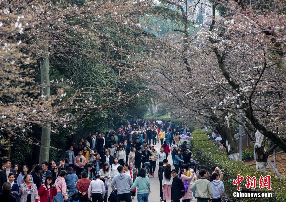 優質國際校應具備這些優勢