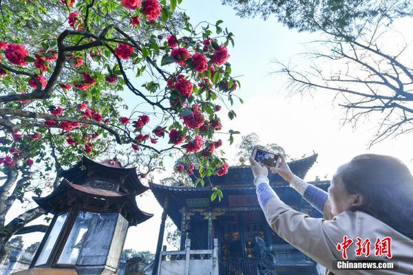 凡·高情人死于自殺，波蘭斯基起訴奧斯卡