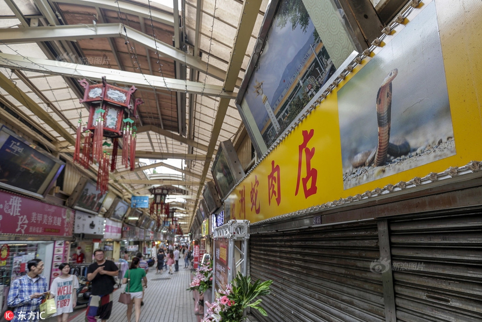 財報圖解|搜狗第一季度總營收2.527億美元 同比增2%