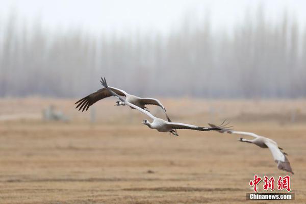 北京已建50余家跨境電商體驗店，今年再增10家