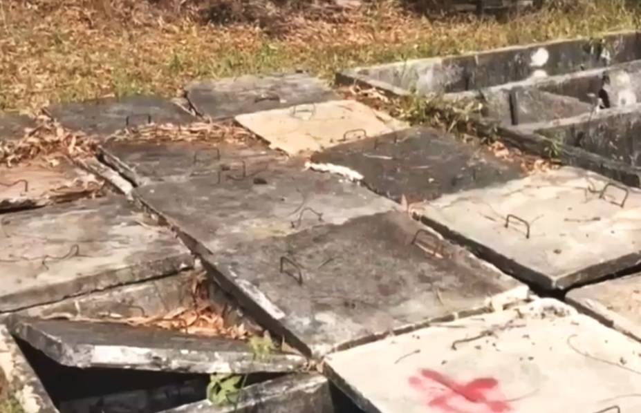 《神奇樂園歷險記》收獲好口碑 合家歡冒險動畫獲親子觀眾青睞