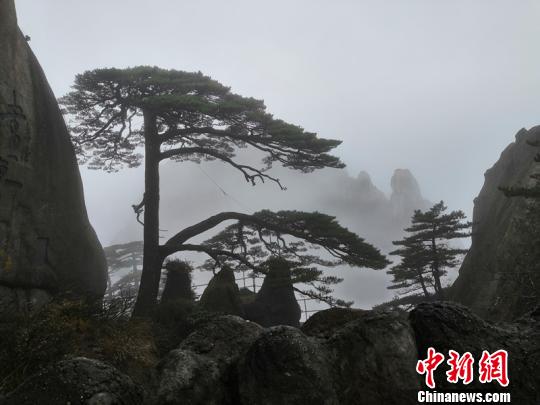 “敲門(mén)”卻說(shuō)找人或說(shuō)走錯(cuò)了？可能是小偷在試探