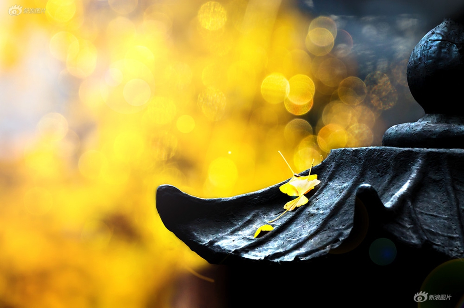 “敲門(mén)”卻說(shuō)找人或說(shuō)走錯(cuò)了？可能是小偷在試探