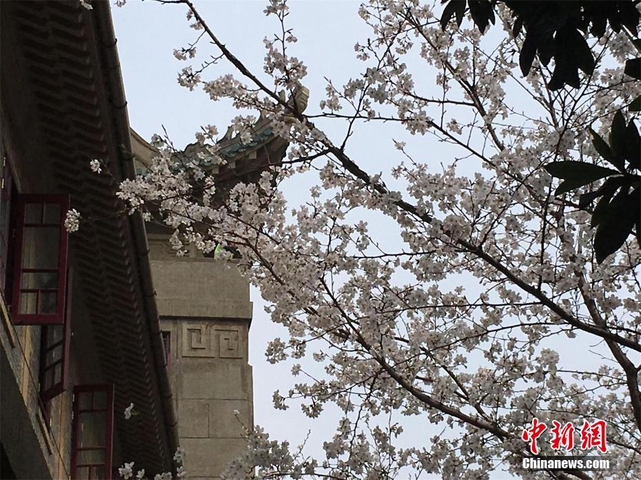 如果隋文帝建一個(gè)群會(huì)聊什么