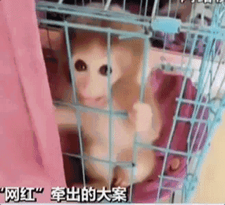 《美人魚》投資人被抓 規模超700億金誠集團出事