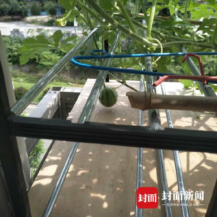 《美人魚》投資人被抓 規模超700億金誠集團出事
