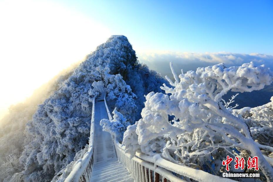 這些明星已經(jīng)紅了幾十年，卻仍然是潮流界的標(biāo)桿